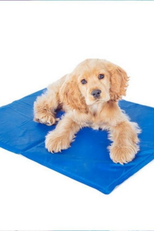 Pet Cooling Mats