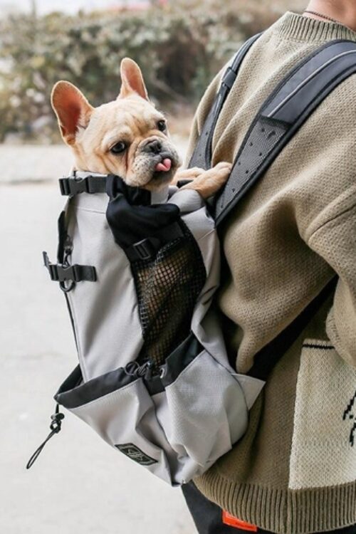 Double Shoulder Portable Pet Dog Carrier Backpack – Travel In Style