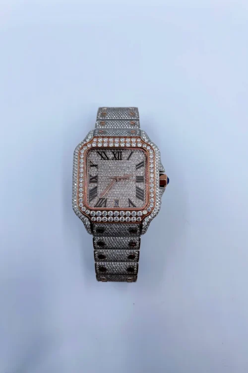 Pass Diamond Tester Hip Hop Iced Out Automatic Jewelry Watch Luxury Stainless Steel Mechanical Buss Down VVS Moissanite Watch