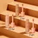 Elf Cosmetics Makeup Set Setting Spray New Shade Foundation Lip Glaze Fine Glitter Lip Oil Enlarged Version of Pre-makeup Gel